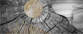 Kép - A fa törzse kollázsban (120x50 cm)