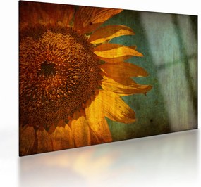 Kép - napraforgó (üvegen) (70x50 cm)