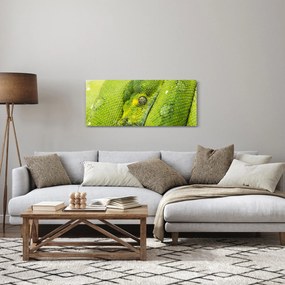 Kígyó képe (120x50 cm)