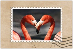 Poszterek 120x80 Szerelmes pelikĂĄnok