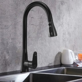 Konyhai csaptelep Rea Mild black mat