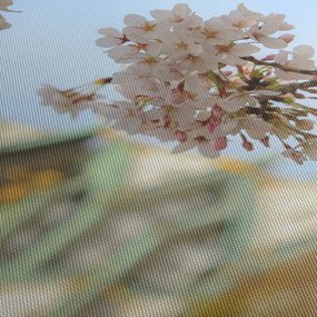 Kép - Sakura (150x105 cm)