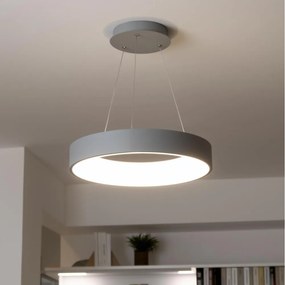 Brilagi - LED dimmelhető kábeles csillár LED/40W/230V 3000-6500K szürke + távirányító