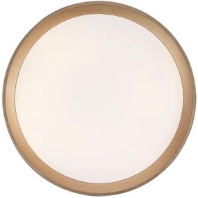 Rabalux 71185 - LED Mennyezeti lámpa LIATRIS LED/25W/230V 3000K átm. 38 cm