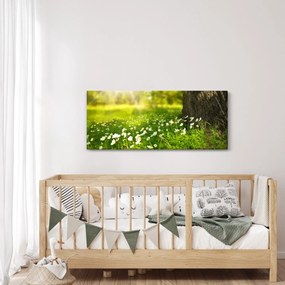 Tisztás és a virágok képe (120x50 cm)
