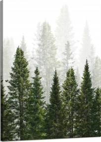 Vászonkép Esőerdő Természet Fák 50x70 cm