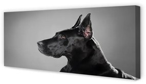 Canvas képek Fekete kutya 125x50 cm