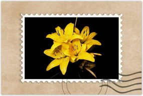 Poszter 60x40 Sárga liliom csokor