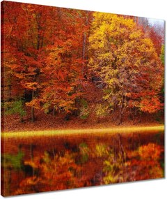 Vászonkép 50x50 Őszi táj