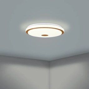 Eglo 900598 - LED Dimmelhető mennyezeti lámpa LANCIANO LED/24W/230V + távirányító