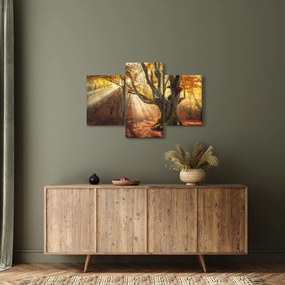 Kép - Őszi fény (90x60 cm)