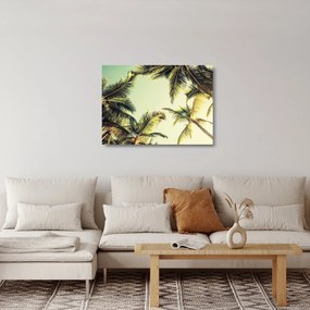 Kép kókuszpálmával (üvegen) (70x50 cm)