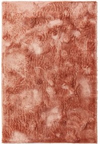 Shaggy szőnyeg Francis Rose 300x400 cm