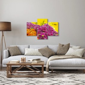 Rózsaszín virág képe (90x60 cm)