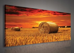 Vászonkép 145x45 Naplemente kévék szalma mező nyár természet ég felhők csend