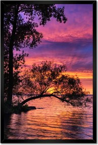 Poszterek keretben 40x60 Tó Fa Nyugat