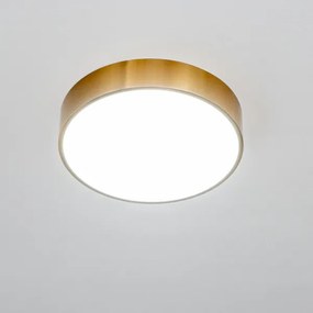 Brilagi - LED fürdőszobai mennyezeti lámpatest POOL LED/24W/230V átm. 30 cm IP54 bronz