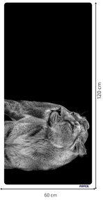 PIPPER. Öntapadós textiltapéta "Oroszlánnő"