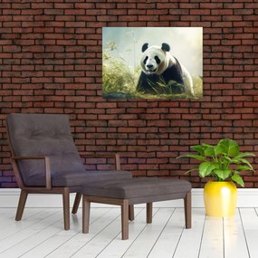 Üveg kép - Panda (70x50 cm)