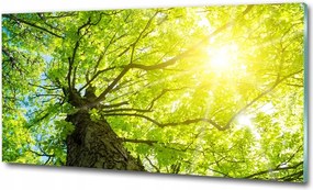 Fotó kép edzett üveg Színes rózsák 100x70