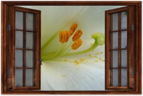 Poszterek 90x60 Nőnap Ajándék Love