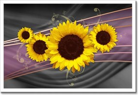 Poszterek keretben 60x40 Napraforgók