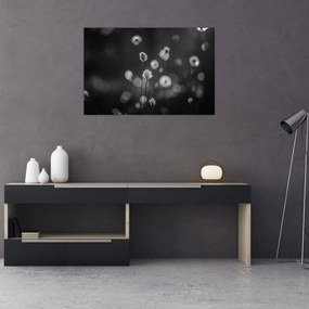 Kép - Pamutfű a réten (90x60 cm)