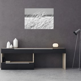 Üveg kép - Strandfű (70x50 cm)
