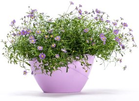 Doppio pasztell lila önöntöző kaspó - Plastia