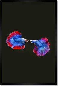 Poszterek keretben 40x60 Színes két harcos