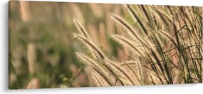 Kép - Gabona (120x50 cm)