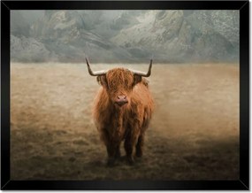 Poszterek keretben 40x30 Szarvasmarha szarvak