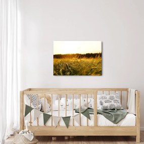 Harmatos fű képe (70x50 cm)