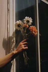 Poszter 61x91,5cm Sugár és szirmok