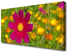 Vászonkép nyomtatás Természet virág növény 120x60 cm