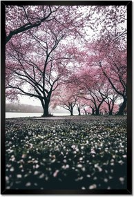 Poszterek keretben 40x60 Fa Kilátás