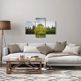 Egy zöld fa képe a mező közepén (90x60 cm)