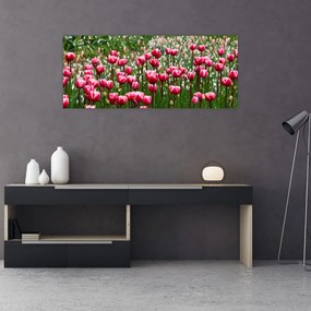 Tulipán képe (120x50 cm)