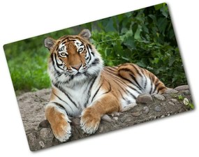 Üveg vágódeszka Szibériai tigris pl-ko-80x52-f-129133169