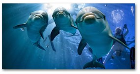 Akrilkép Három delfinek oah-119968160