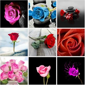 Vászonkép szett 9x 60x60 Mix Rózsa
