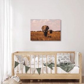 Kép - Az elefánt érkezése (üvegen) (70x50 cm)