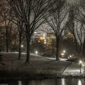 Poszter 20x20cm Central Park éjszaka, Assaf Frank