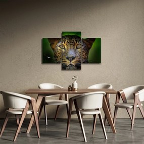 Kép - Leopárd portré, Sri Lanka (90x60 cm)