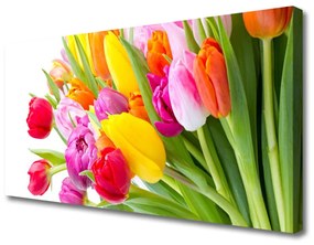 Vászonfotó Tulipán virágok Plant 100x50 cm