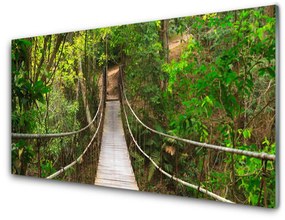 Modern üvegkép Most dzsungel esőerdő 120x60cm