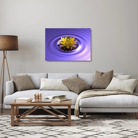 Kép - Tavirózsa (üvegen) (70x50 cm)