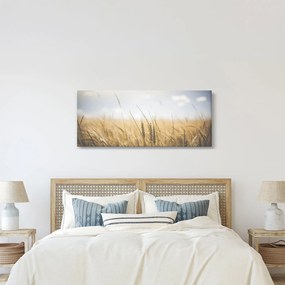 A gabona képe (120x50 cm)