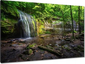 Vászonkép 120x80 Trópusi erdő vízesés