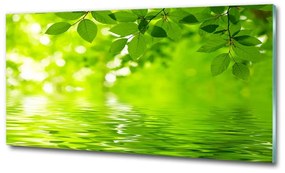 Egyedi üvegkép Zöld levelek osh-41296480